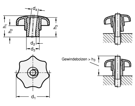 Schnellspann Sterngriffe Buchse Stahl  verzinkt GN 6336.3 Skizze