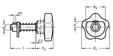 Tuerverriegelungen GN 118 Skizze