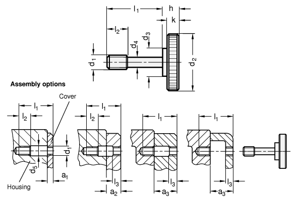 Stainless Steel Knurled Screws GN 653.2 sketch