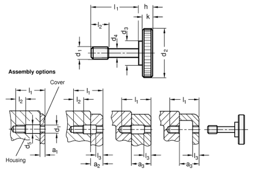 Stainless Steel Knurled Screws GN 653.2 sketch