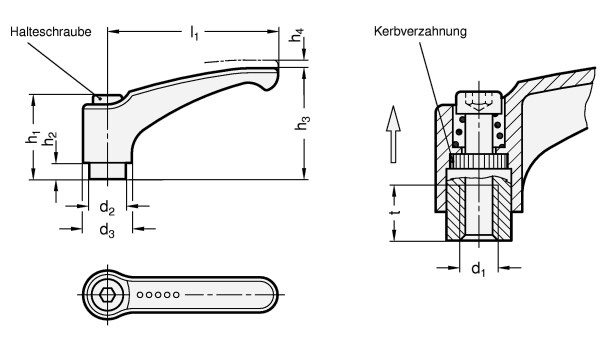 Verstellbare Klemmhebel  GN 602.1 Skizze