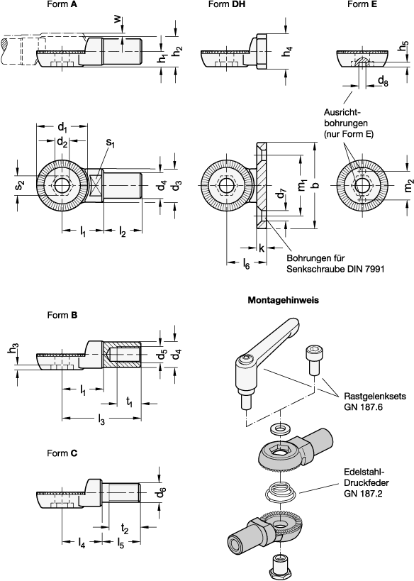 Edelstahl Rastkoepfe GN 187.5 Skizze