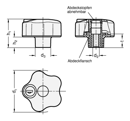 Sicherheits Sterngriffe GN 5337.9 Skizze