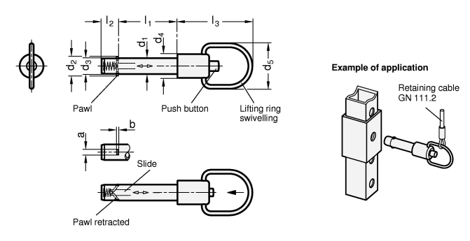 Stainless Steel Locking Pins with axial lock  slide plastic GN 214.3 sketch