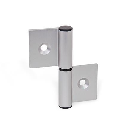 Hinges GN 2294