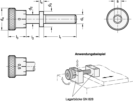 Edelstahl Stellschrauben GN 827 Skizze