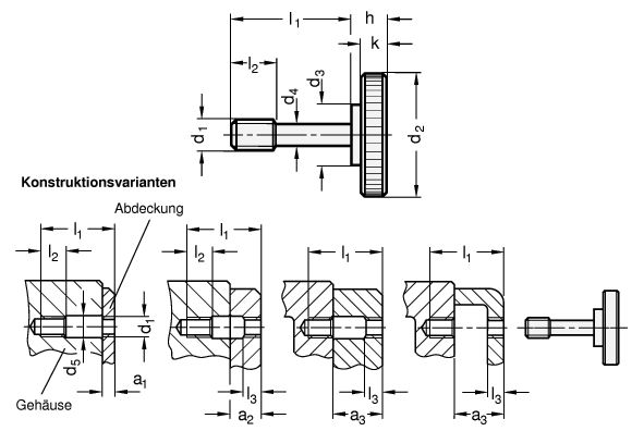 Raendelschrauben Stahl GN 653.2 Skizze