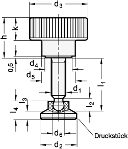 Raendelhohlschrauben Kunststoff  Schraube Edelstahl GN 421.12 Skizze