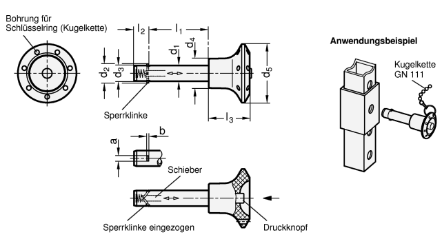 Edelstahl Steckbolzen Knopf  Schieber Kunststoff GN 114.3 Skizze