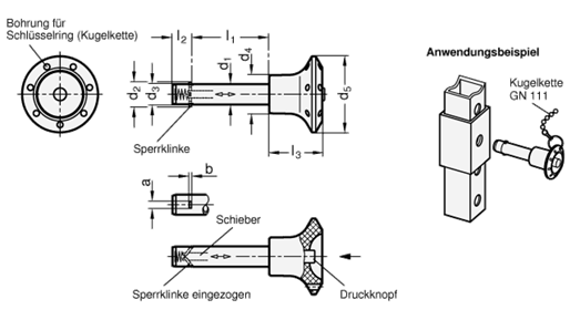 Edelstahl Steckbolzen Knopf  Schieber Kunststoff GN 114.3 Skizze