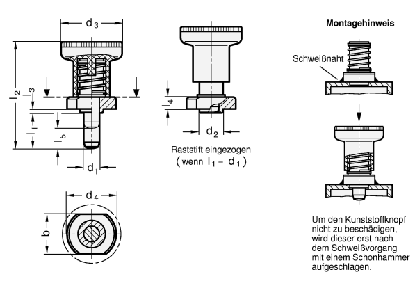 Rastbolzen GN 607.5 Skizze