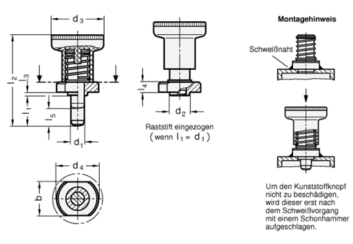 Rastbolzen GN 607.5 Skizze