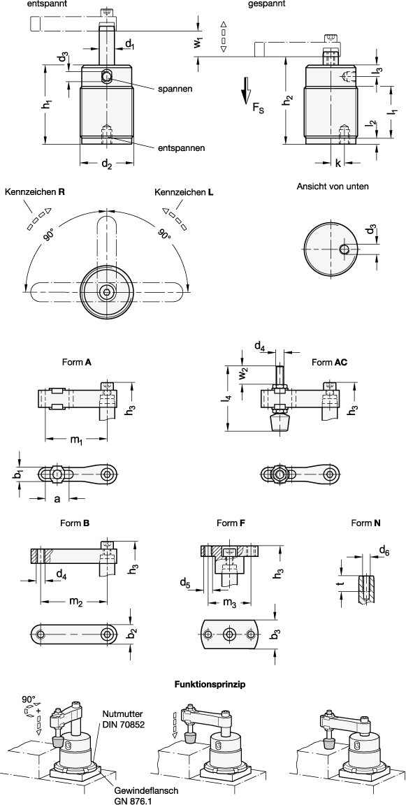 Schwenkspanner GN 876 Skizze