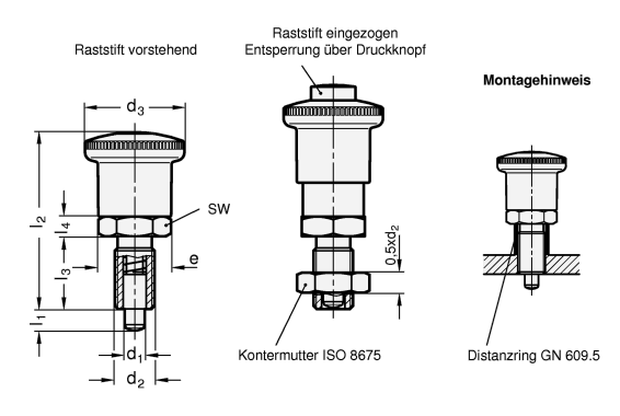 Edelstahl Rastbolzen GN 414.1 Skizze