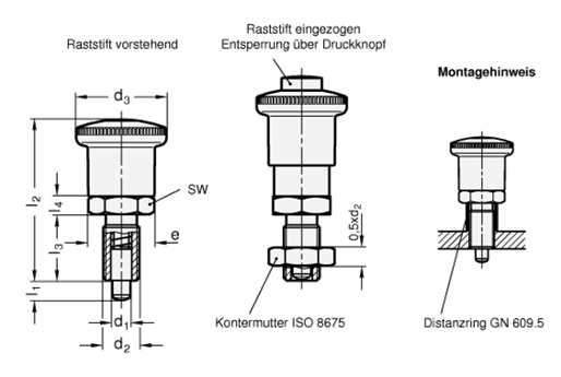 Edelstahl Rastbolzen GN 414.1 Skizze