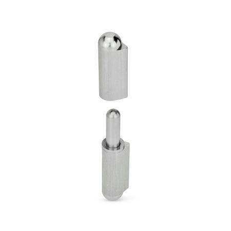 Stainless Steel Hinges GN 128.2