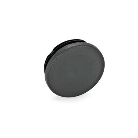 Tube End Plugs GN 991