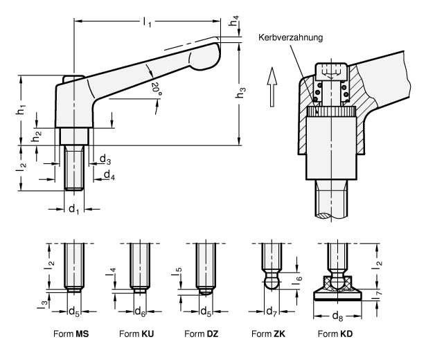 Verstellbare Klemmhebel GN 306 Skizze