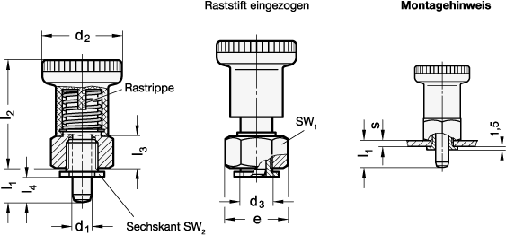 Rastbolzen GN 607.3 Skizze