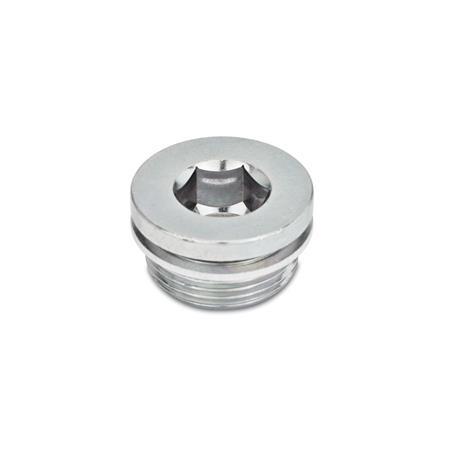 Threaded Plugs  DIN 908