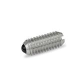 Stainless Steel Spring Plungers GN 615.5 thumbnail