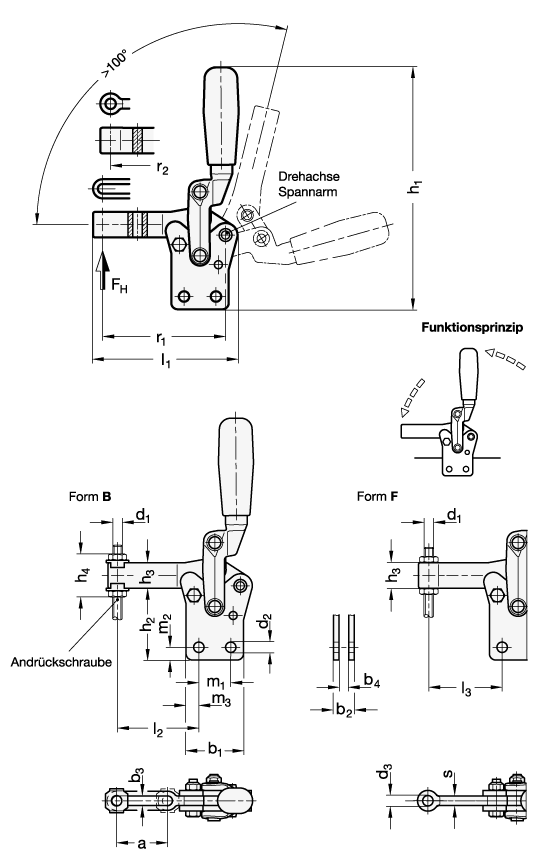 Schnellspanner Stahl  brueniert GN 910.1 Skizze