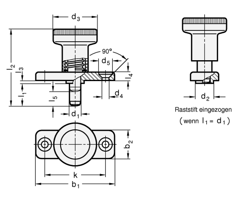 Rastbolzen Raststift Stahl GN 608 Skizze