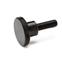Knurled Screws DIN 464 thumbnail