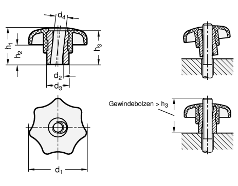 Schnellspann Sterngriffe Buchse Stahl  verzinkt GN 6336.3 Skizze