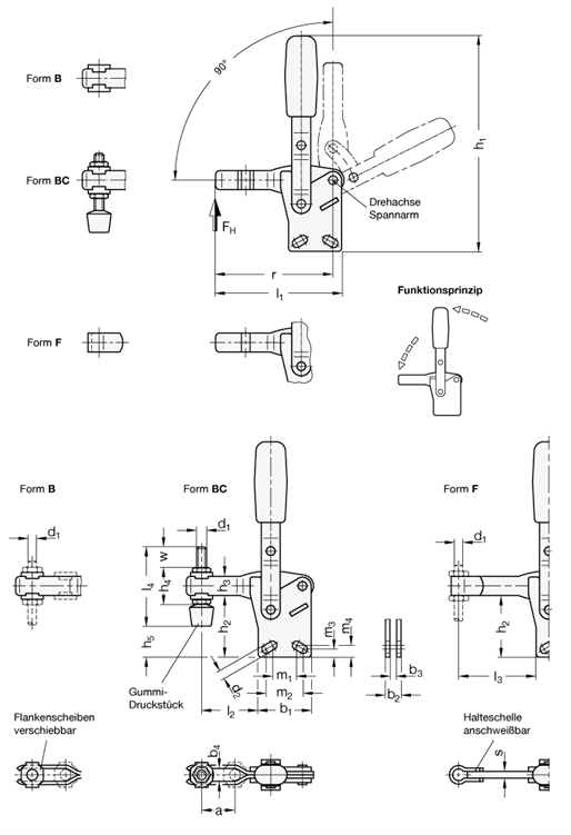 Edelstahl Schnellspanner GN 810.1 Skizze