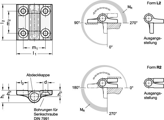 Scharniere GN 437.3 Skizze