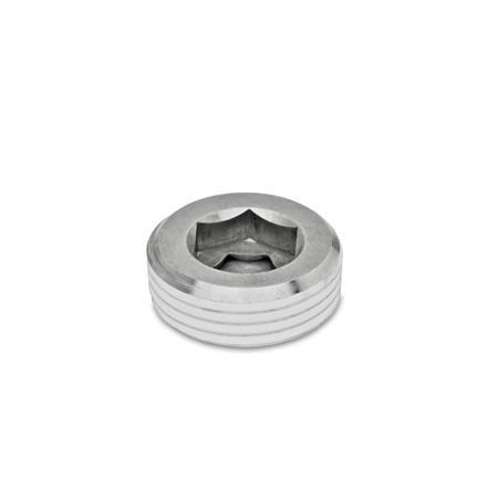 Stainless Steel Threaded Plugs DIN 906