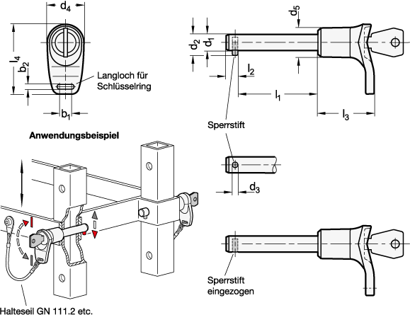 Edelstahl Steckbolzen GN 314 Skizze