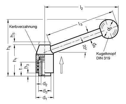 Verstellbare Edelstahl Spannhebel mit Innengewinde GN 212.5 Skizze