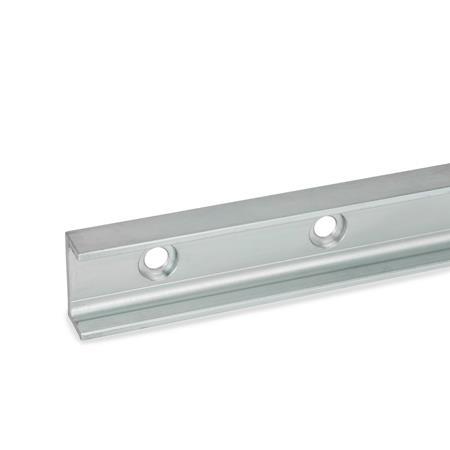 Cam Roller Linear Guide Rails GN 2422