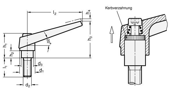 Verstellbare Klemmhebel GN 101.1 Skizze