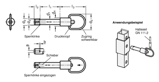 Edelstahl Steckbolzen mit Axialsicherung  Schieber Kunststoff GN 214.3 Skizze