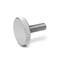 Stainless Steel Flat Knurled Screws matt shot blasted DIN 653 thumbnail