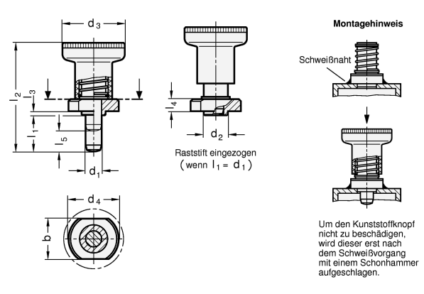 Rastbolzen GN 607.4 Skizze