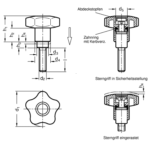 Sicherheits Sterngriffschrauben Schraubeneinsatz Stahl  brueniert  Edelstahl GN 5337.3 Skizze