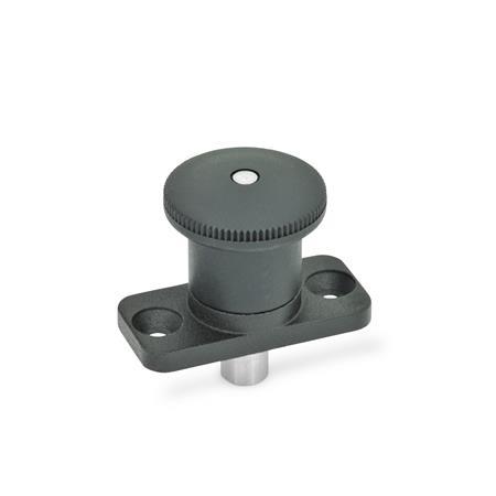 Mini Indexing Plungers GN 822.8
